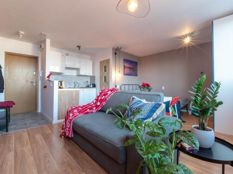 Modern Studio In The City Center Of Wroclaw! מראה חיצוני תמונה